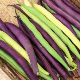 green, purple, and yellow string beans