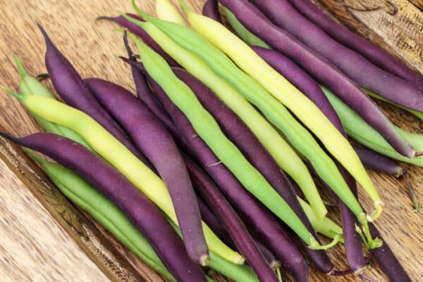 green, purple, and yellow string beans