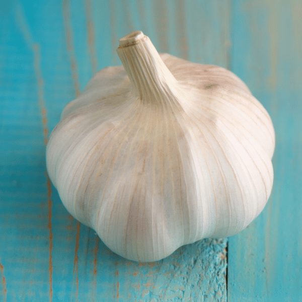 Garlic bulb on blue wood table