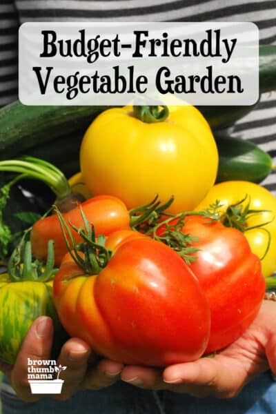 5 Best Container Vegetables for Beginning Gardeners - Brown Thumb Mama®