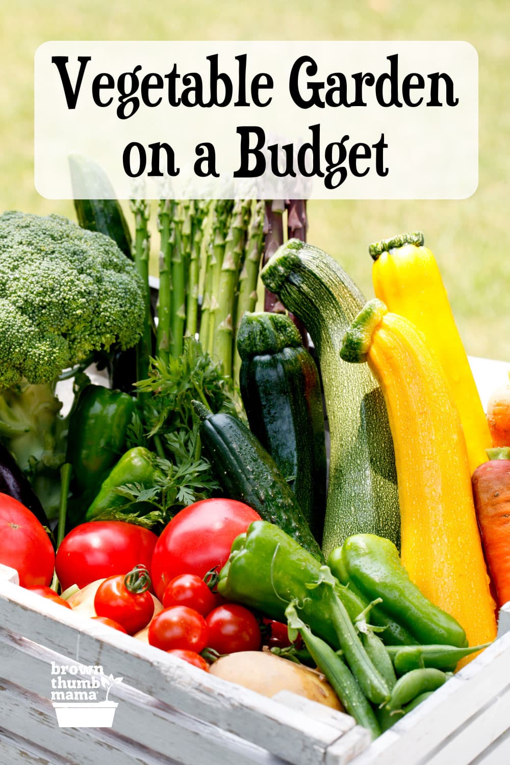 Start a Vegetable Garden on a Budget - Brown Thumb Mama®