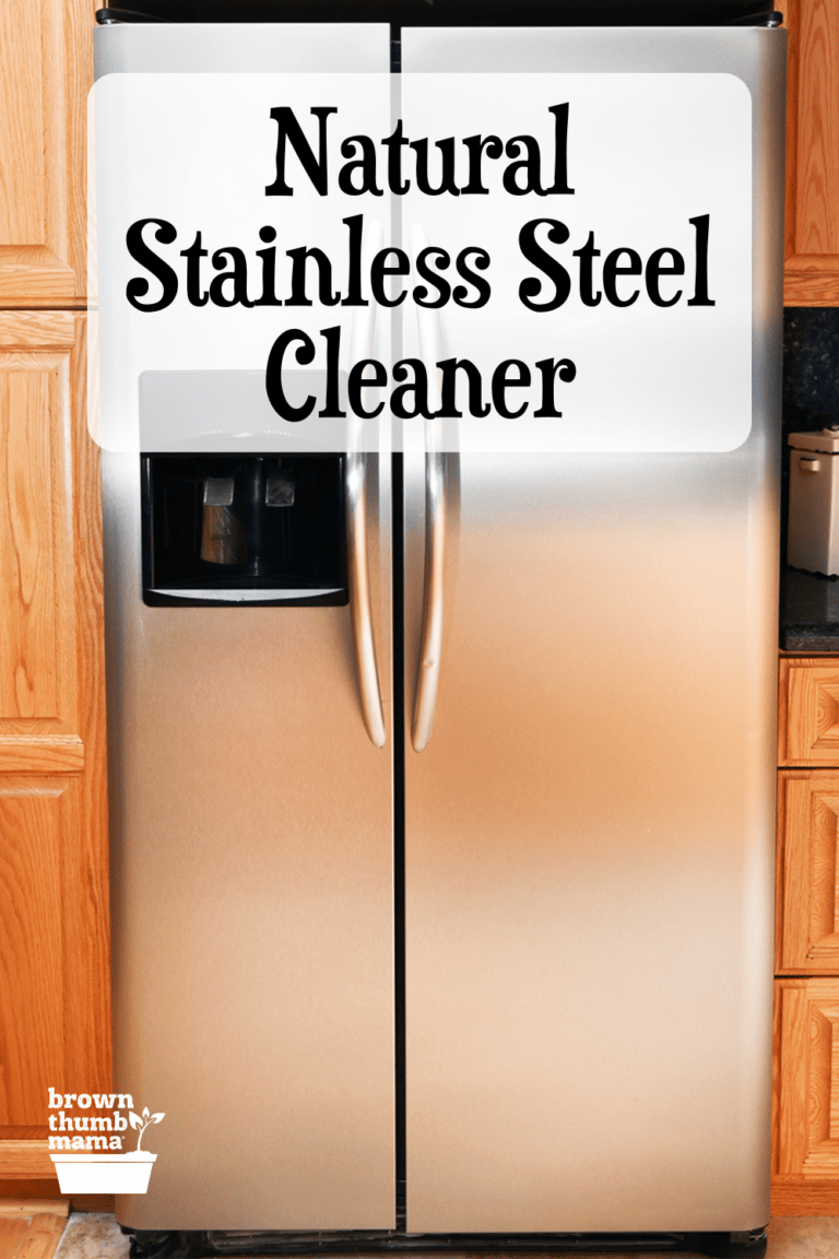 Natural Stainless Steel Cleaner Brown Thumb Mama®