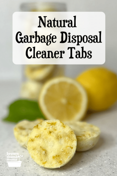 DIY Lemon Garbage Disposal Cleaner - Clean Mama