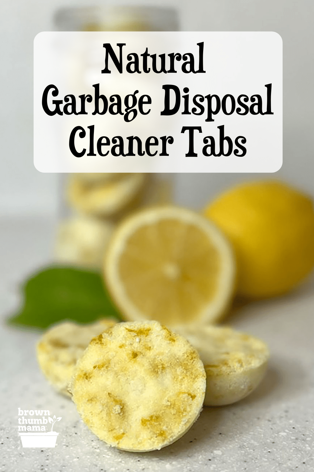 Natural Garbage Disposal Cleaner Tablets Brown Thumb Mama natural-garbage-disposal-cleaner-tablets-brown-thumb-mama