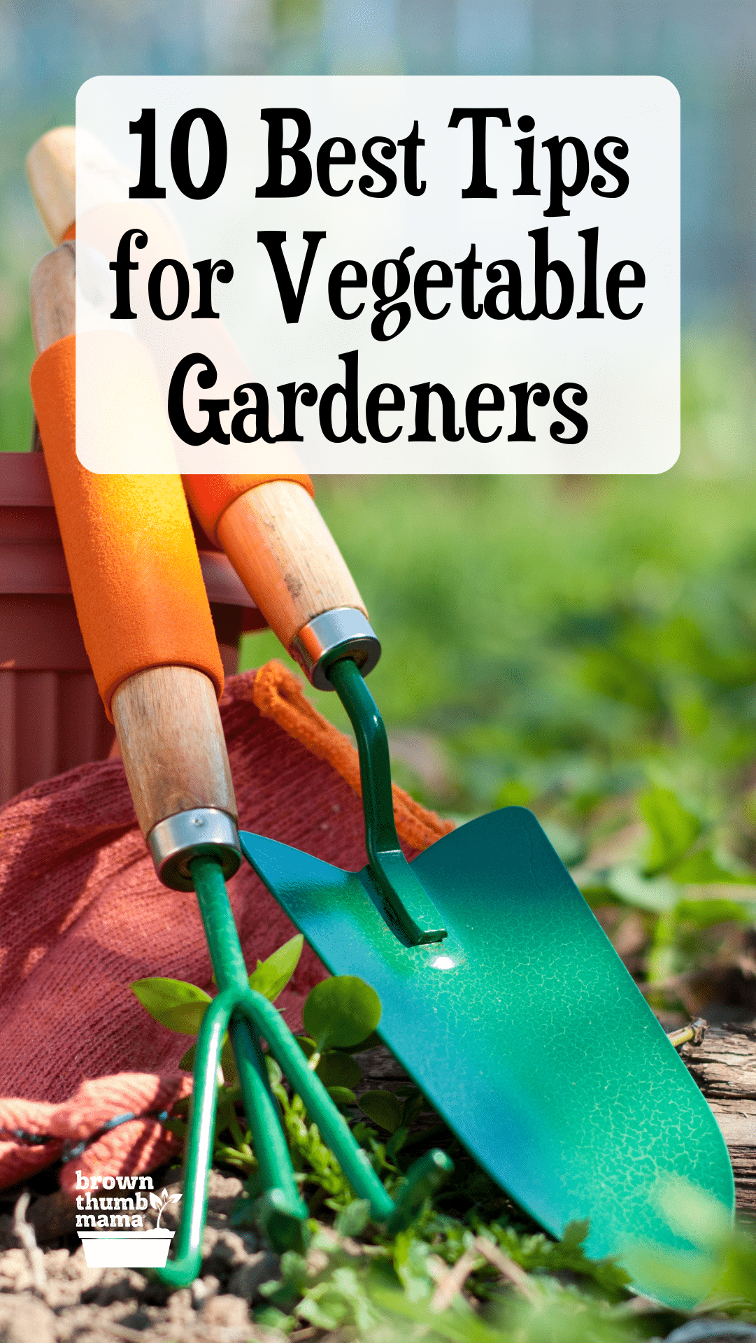 Top 10 Vegetable Gardening Tips - Brown Thumb Mama®
