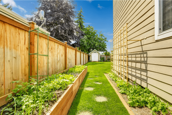 vegetable garden against fence and side of house