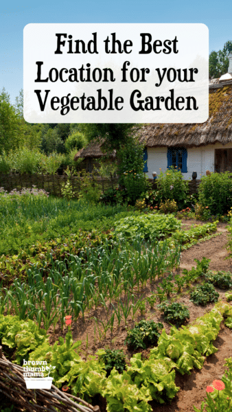 backyard vegetable garden at a cottage