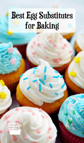 Homemade cupcakes with whipped frosting and sprinkles