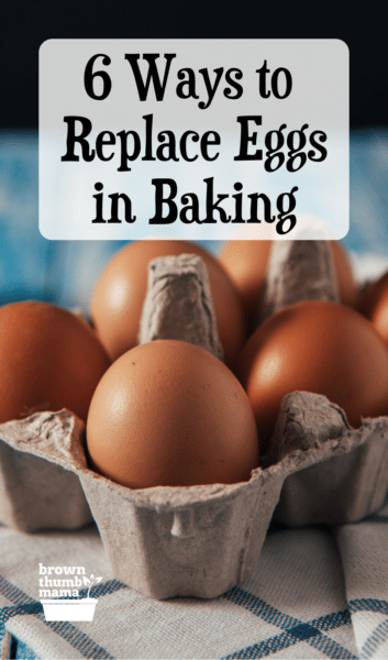 brown eggs in a carton on a blue table