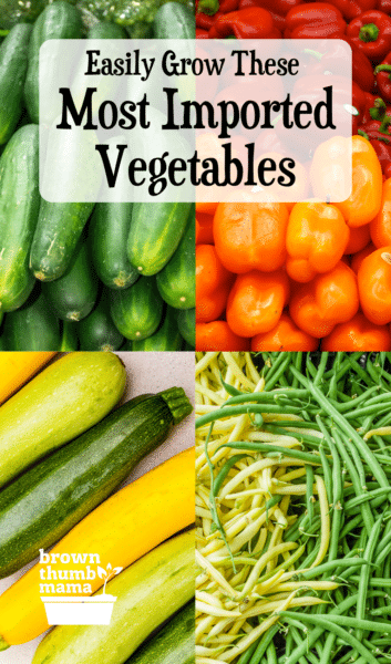 cucumbers, bell peppers, zucchini, green beans