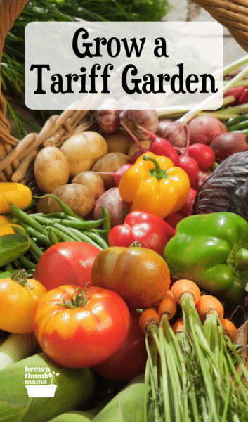 Abundant garden harvest in a basket