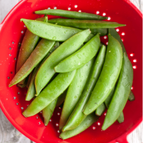 snap peas in a red colander